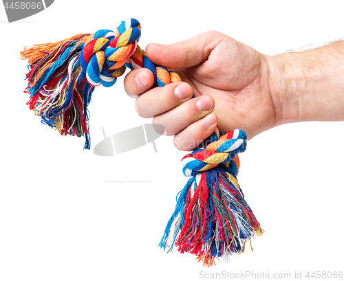 Image of Hand with dog toy