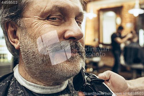 Image of Close-up side view portrait of handsome senior bearded caucasian man getting beard grooming in modern barbershop.