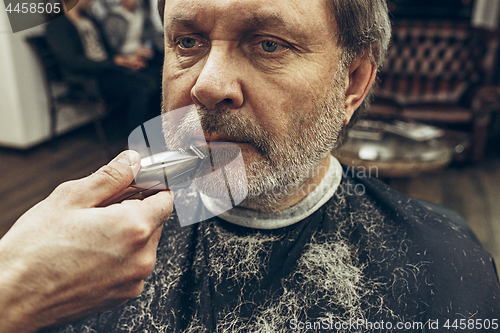 Image of Close-up side view portrait of handsome senior bearded caucasian man getting beard grooming in modern barbershop.