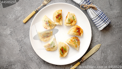 Image of Fried dumplings with meat