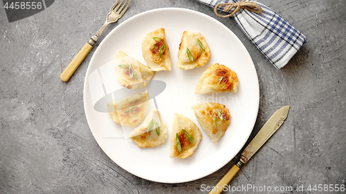 Image of Fried dumplings with meat