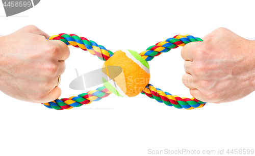 Image of Hand with dog toy