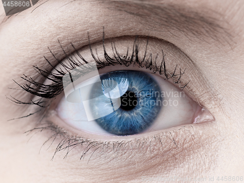 Image of Blue woman single eye