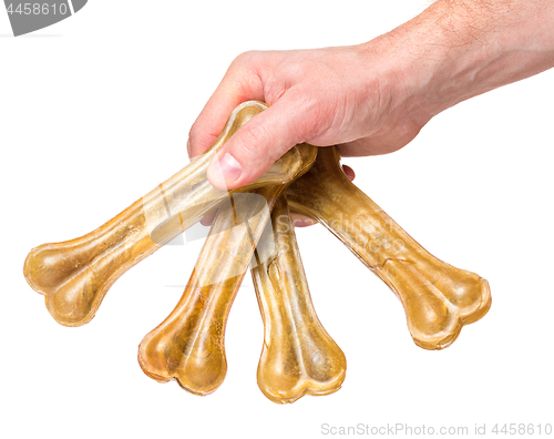 Image of Hand with dog bone