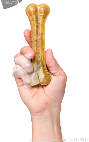 Image of Hand with dog bone