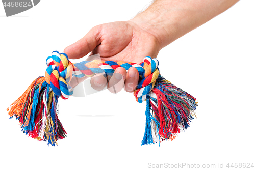 Image of Hand with dog toy