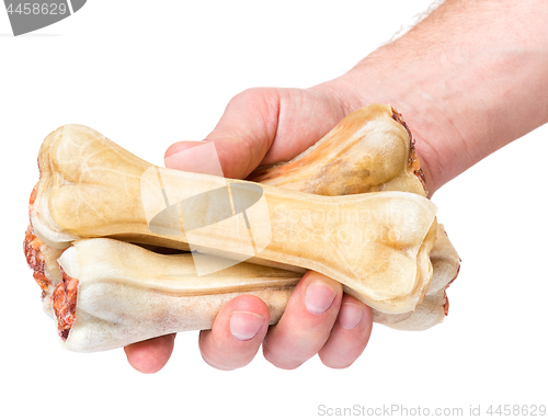 Image of Hand with dog bone