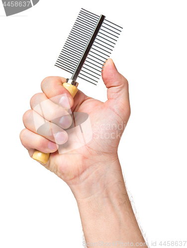 Image of Hand with dogs grooming brush