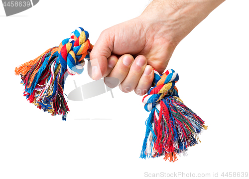 Image of Hand with dog toy