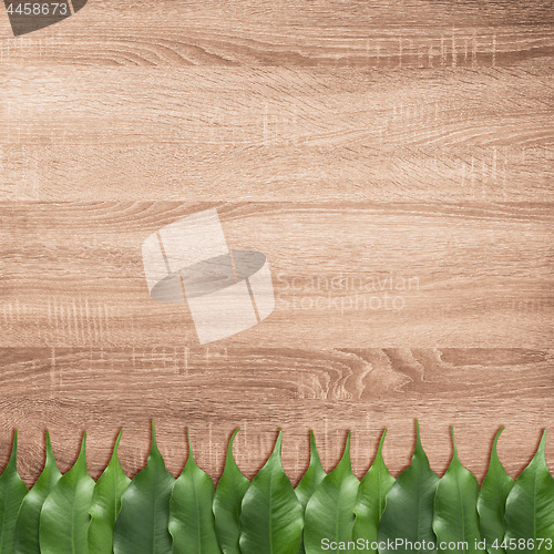 Image of Ficus leaves on the brown wooden texture background.