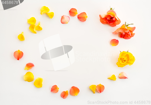 Image of Rose petals frame on white background