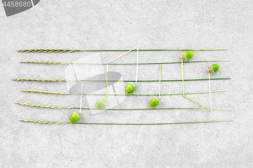 Image of Music notes made of green acorns and wild grass