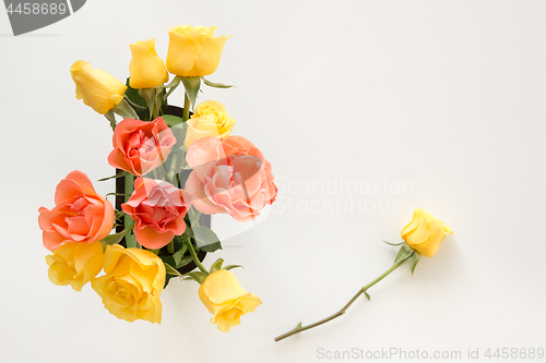 Image of Yellow and pink roses on white background