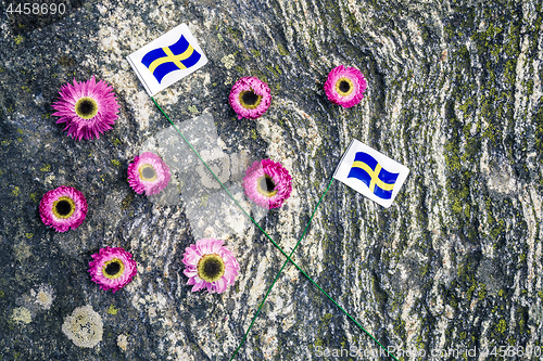 Image of Swedish flags and pink strawflowers on mossy rock background