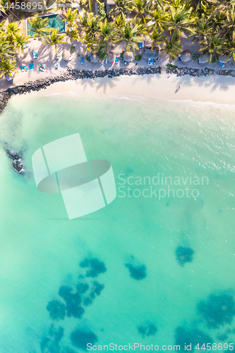 Image of Aerial view of amazing tropical white sandy beach with palm leaves umbrellas and turquoise sea, Mauritius.