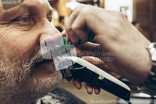 Image of Close-up side view portrait of handsome senior bearded caucasian man getting beard grooming in modern barbershop.