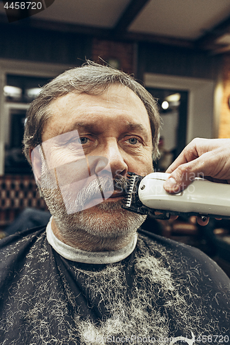 Image of Close-up side view portrait of handsome senior bearded caucasian man getting beard grooming in modern barbershop.
