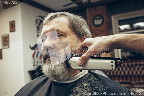 Image of Close-up side view portrait of handsome senior bearded caucasian man getting beard grooming in modern barbershop.