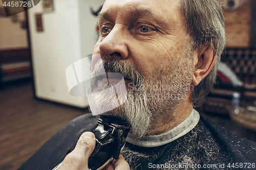 Image of Close-up side view portrait of handsome senior bearded caucasian man getting beard grooming in modern barbershop.