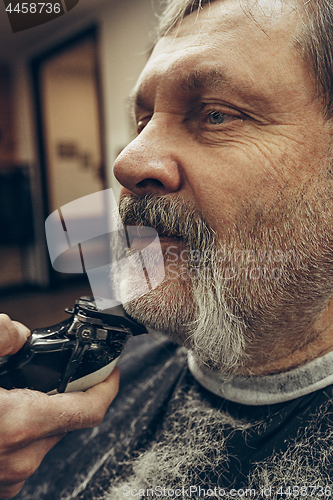 Image of Close-up side view portrait of handsome senior bearded caucasian man getting beard grooming in modern barbershop.