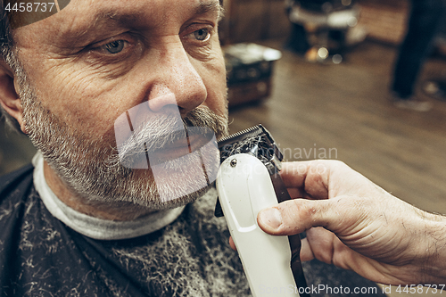 Image of Close-up side view portrait of handsome senior bearded caucasian man getting beard grooming in modern barbershop.