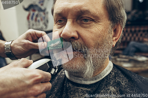 Image of Close-up side view portrait of handsome senior bearded caucasian man getting beard grooming in modern barbershop.