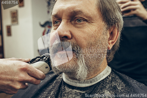 Image of Close-up side view portrait of handsome senior bearded caucasian man getting beard grooming in modern barbershop.