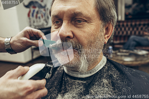 Image of Close-up side view portrait of handsome senior bearded caucasian man getting beard grooming in modern barbershop.