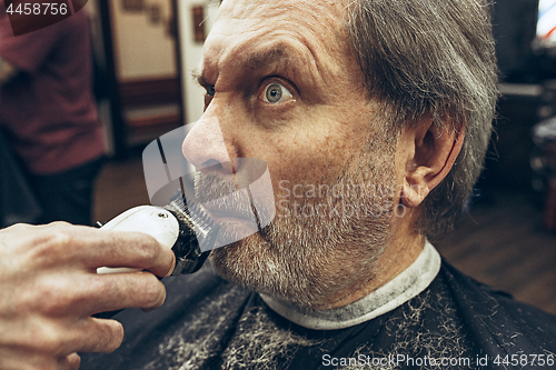 Image of Close-up side view portrait of handsome senior bearded caucasian man getting beard grooming in modern barbershop.