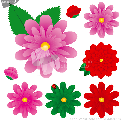 Image of Big Colorful Gerbera Flowers Set