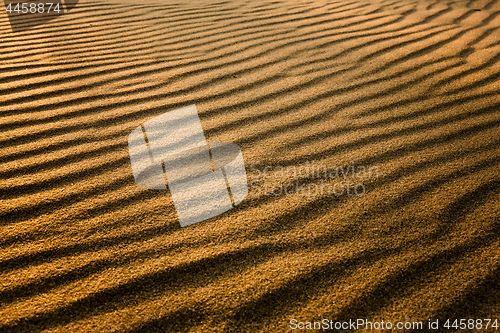 Image of Golden Sand