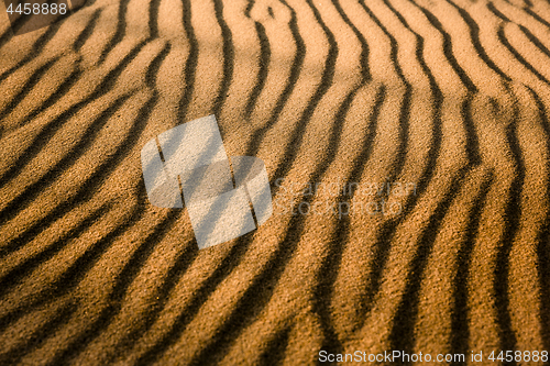Image of Golden Sand