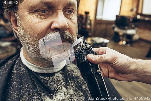 Image of Close-up side view portrait of handsome senior bearded caucasian man getting beard grooming in modern barbershop.