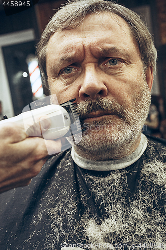 Image of Close-up side view portrait of handsome senior bearded caucasian man getting beard grooming in modern barbershop.