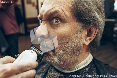 Image of Close-up side view portrait of handsome senior bearded caucasian man getting beard grooming in modern barbershop.