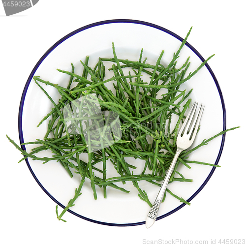 Image of Samphire Sea Vegetable