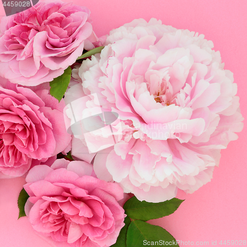 Image of Rose and Peony Flowers