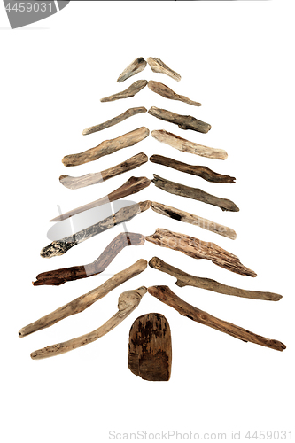 Image of Abstract Driftwood Tree Design