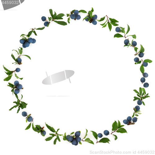 Image of Blackthorn Berry Wreath