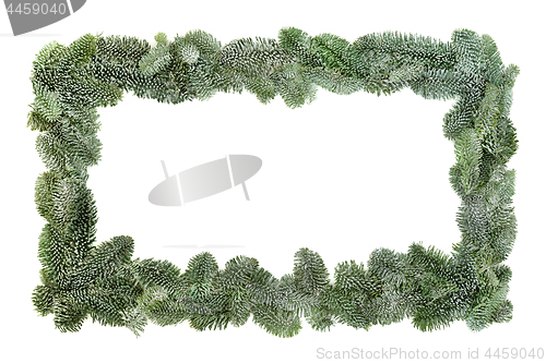 Image of Spruce Fir Background Border 