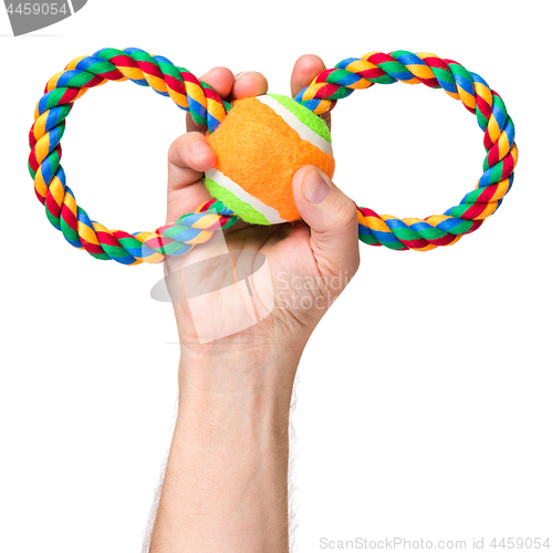 Image of Hand with dog toy