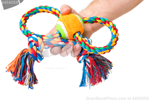 Image of Hand with dog toy