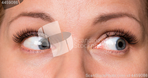 Image of Face woman with eyes and eyelashes