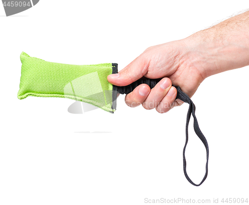 Image of Hand with dog toy