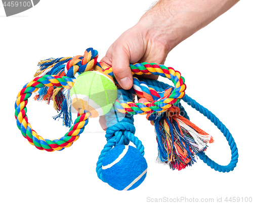 Image of Hand with dog toy