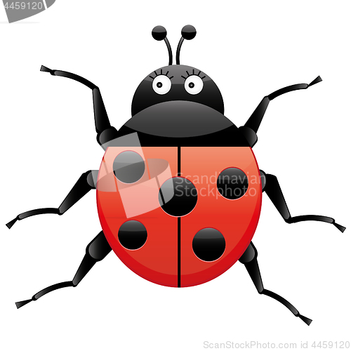 Image of Funny ladybug, looking left, cartoon character, isolated on white background