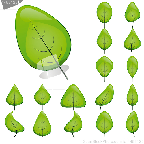 Image of Collection of green shiny leaf icons, vector illustrationCollection of green shiny leaf icons