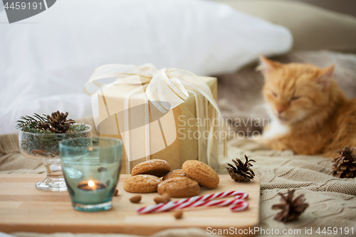 Image of christmas gift, cookies and cat lying in bed