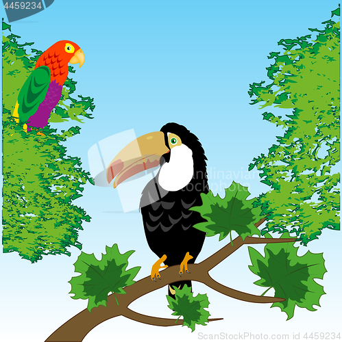 Image of Birds toucan and parrot in tropical wood