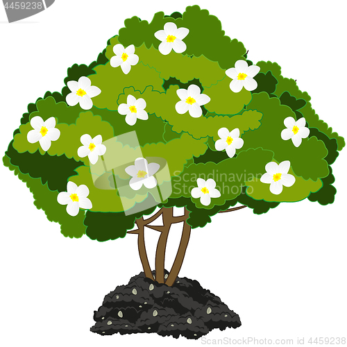 Image of Year green bush with white flower.Vector illustration